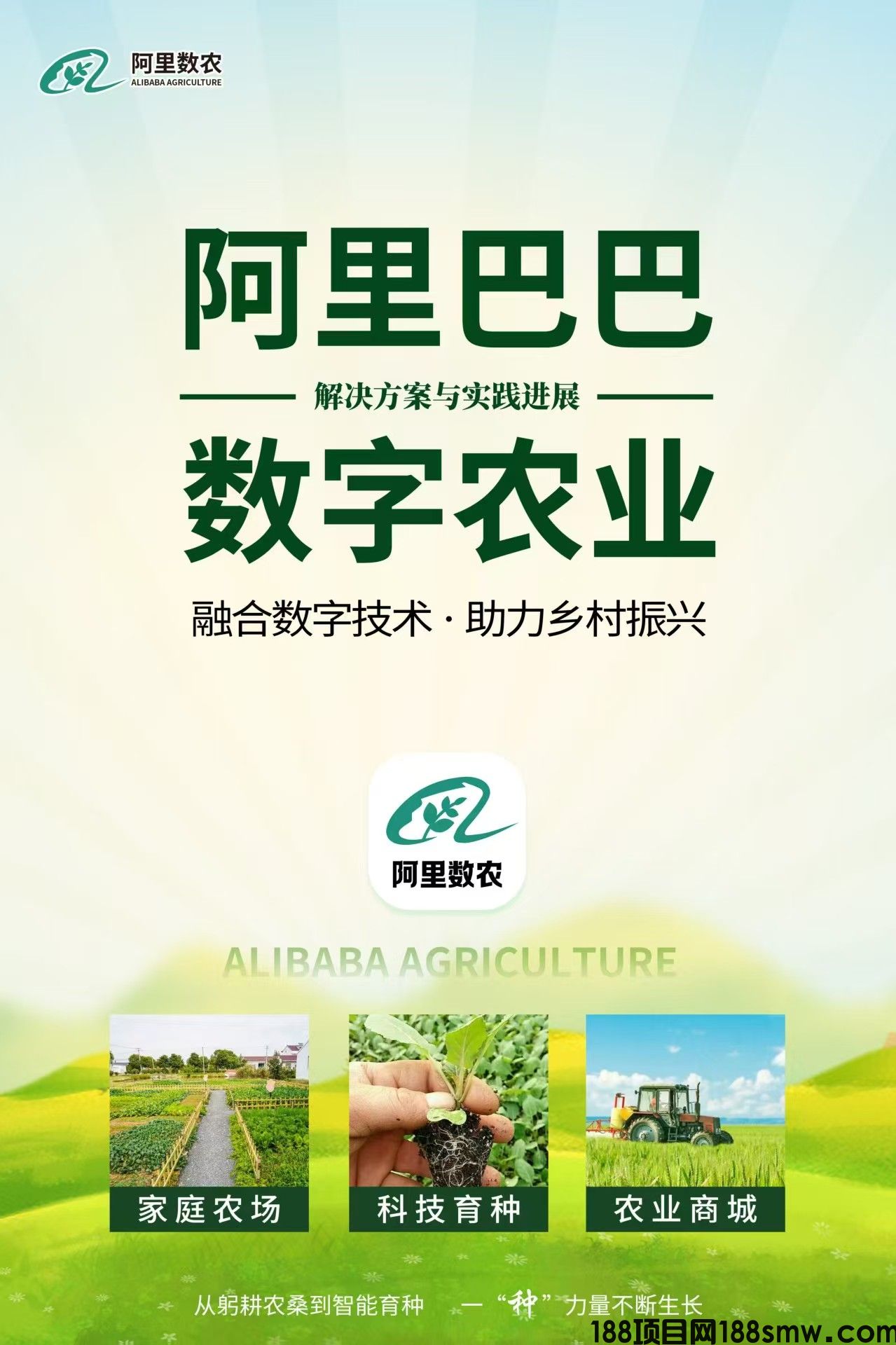 网络项目