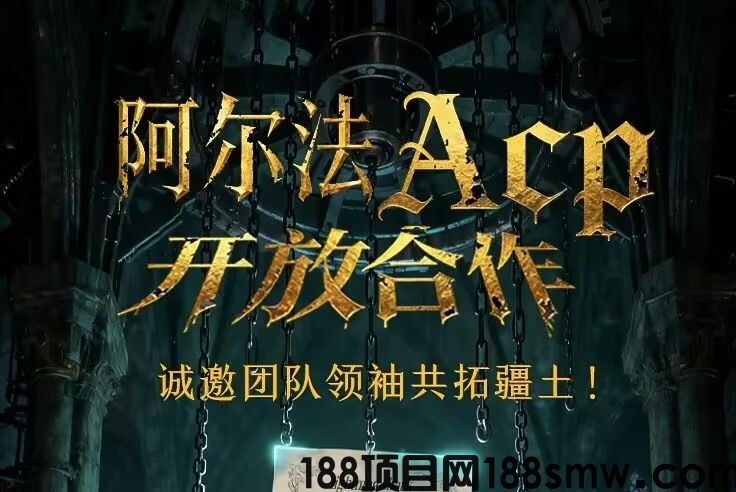 网络项目