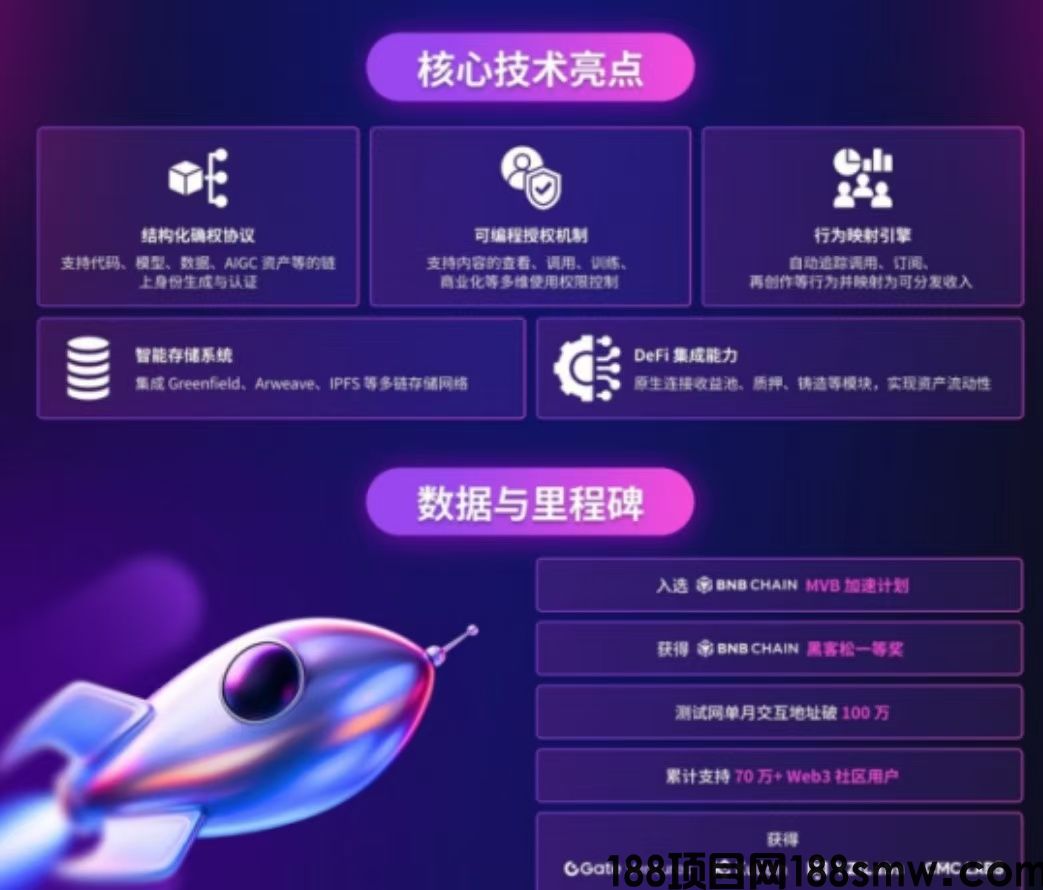 网络项目
