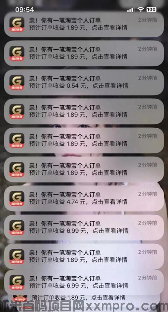 网络项目