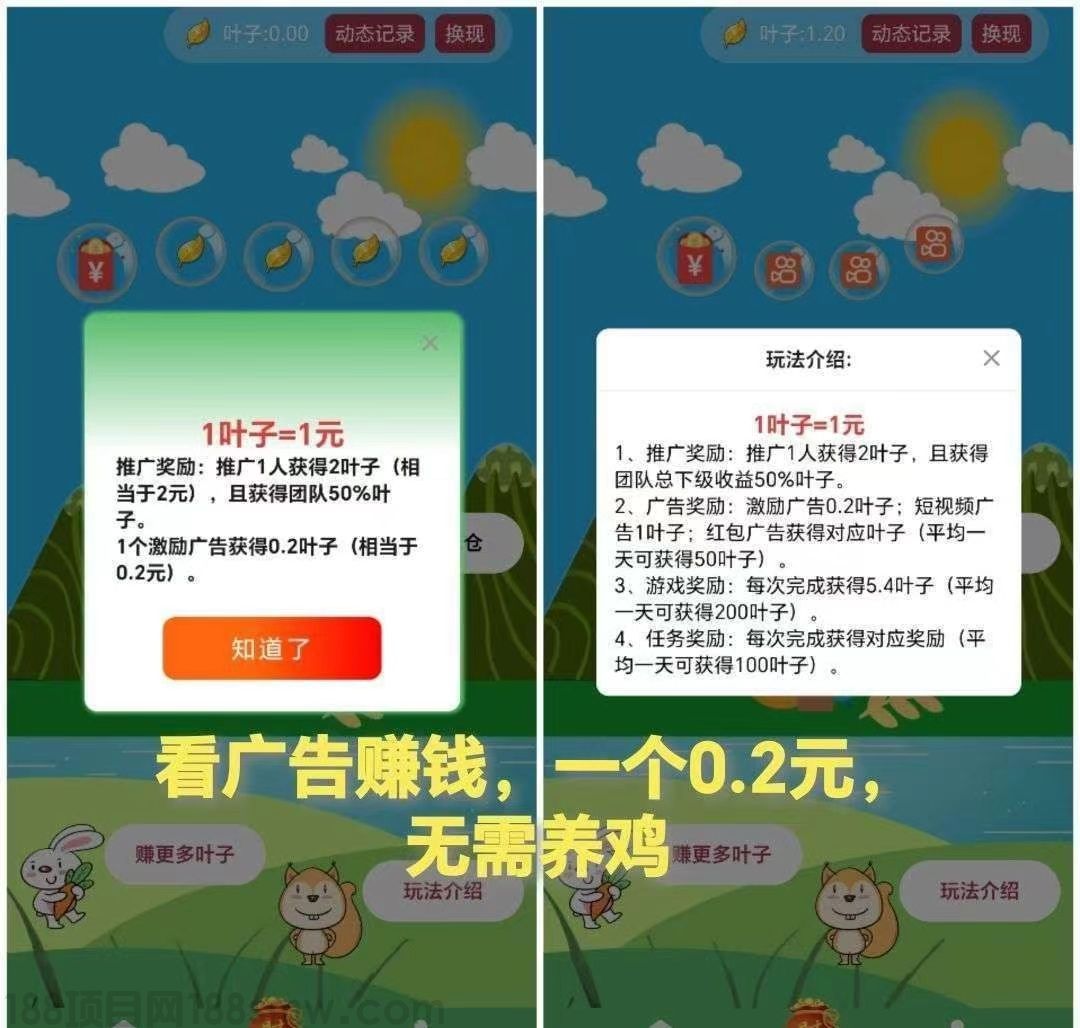 网络项目