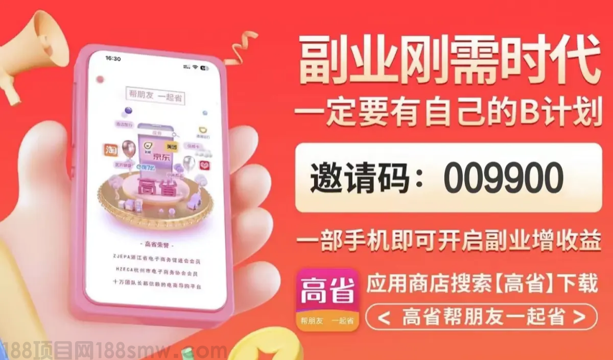 网络项目