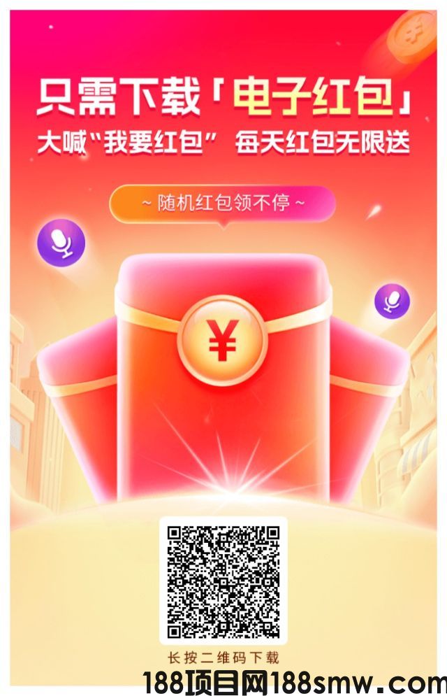 网络项目